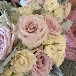 Meet your Posher, Diane